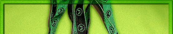 Alien lanyard
