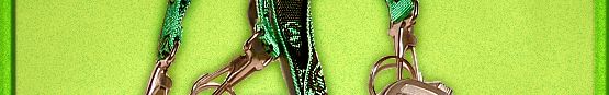 Alien lanyard